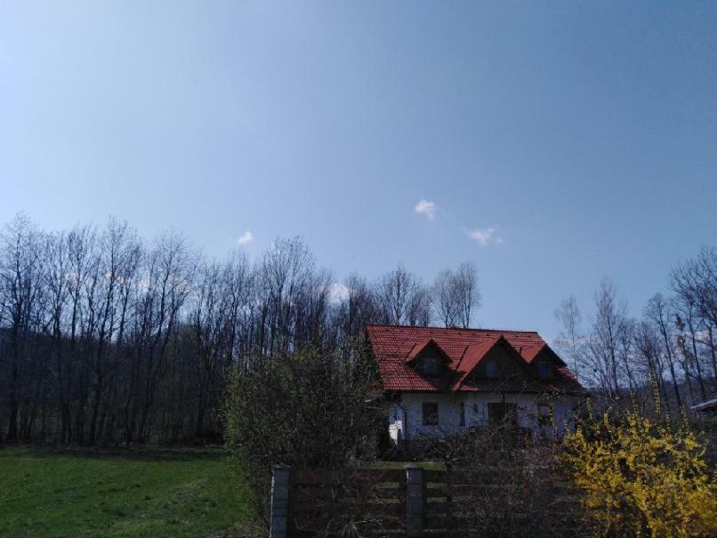 Privat U Capu V Beskydech Appartement Przno Buitenkant foto