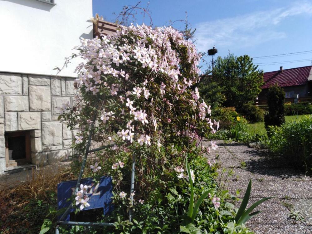 Privat U Capu V Beskydech Appartement Przno Buitenkant foto